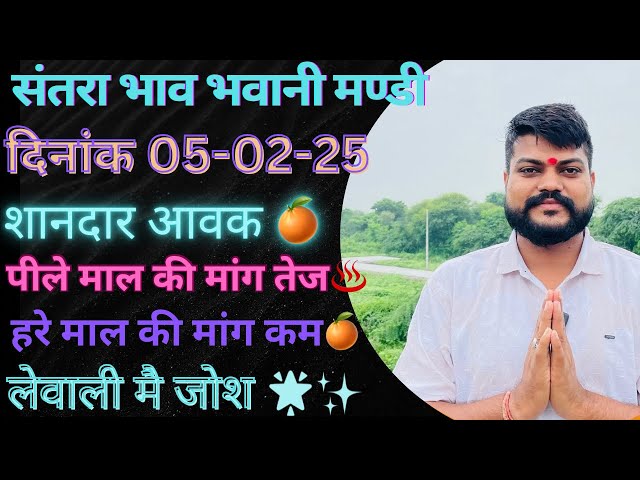 संतरा पीले माल की मांग तेज🍊💥 हरे माल मै गिरावट||भवानी मंडी दिनांक 05-02-25  orenge rate Bhawanimandi