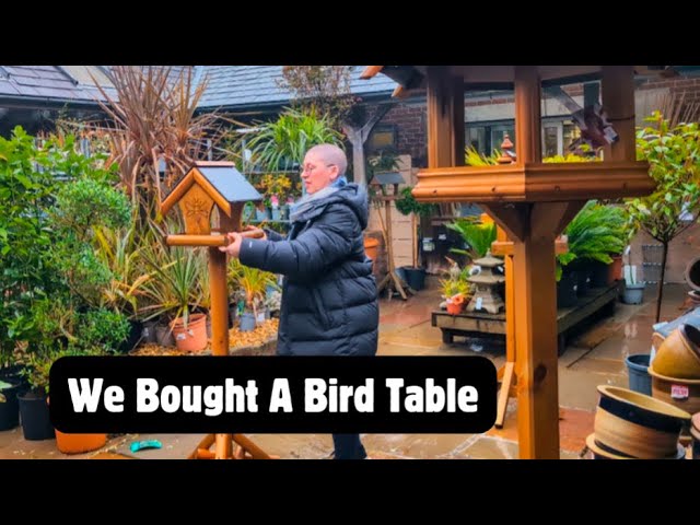 Enhancing Your Garden: A Bird Table for Winter Feeding 🌿🌱