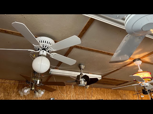 Ceiling Fan Display 8 (27 Fans)