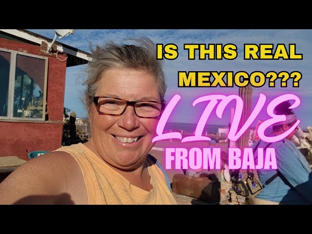 MEXICO: What's Real, What's Not? Live from Baja!