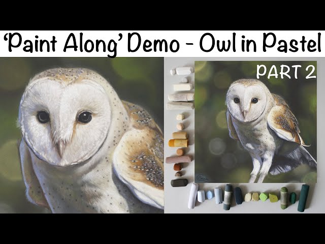 'Paint Along' Demo Owl in Pastel PART 2