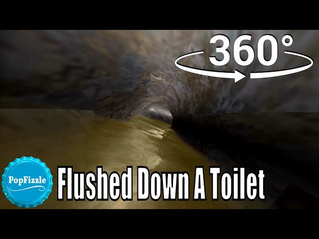 360 video || Flushed Down a Toilet Version 4 || Animation VR 4K