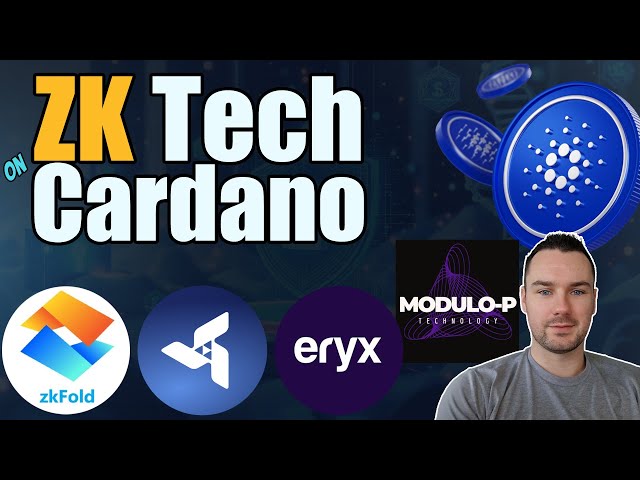 Zero Knowledge Solutions Building on Cardano | ZK Tech on Cardano