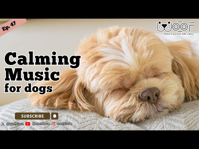 Calming Music for Dogs 🐶 Soothing Sounds with Dog-Friendly Frequencies