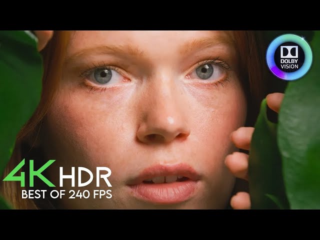 4K ULTRA HD HDR 240 FPS - Best of Dolby VISION (2024)