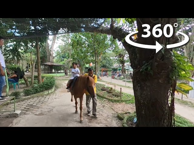 Virtual Reality 360 Kebun Binatang Taman Rimba Zoo Jambi - Menunggang Kuda