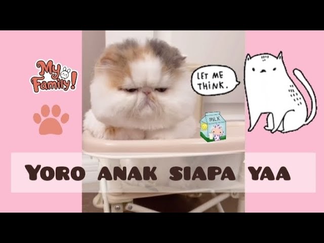 YURO ANAK SIAPA YAA #catlover #trending