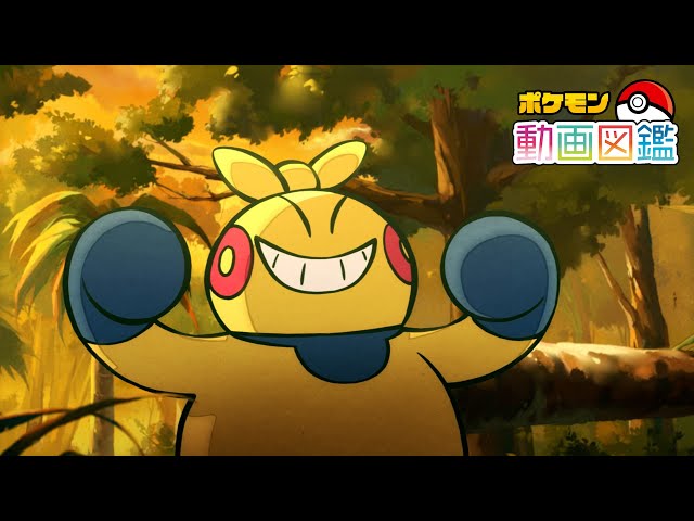 【公式】「ポケモン動画図鑑」No.0296 マクノシタ