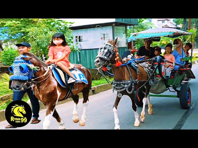 LAGU ANAK POPULER~NAIK DELMAN ISTIMEWA~RINDU MUHAMADKU~LAGU ISLAMI POPULER~KUDA TUNGGANG