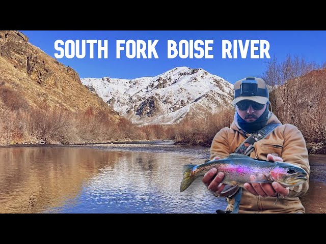 Winter Fly Fishing this Spectacular Blue Ribbon Idaho Trout Stream