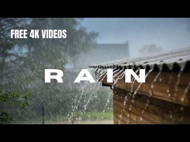 FREE 4K/HD RAIN//NATURE STOCK FOOTAGE - NO COPYRIGHT VIDEOS.