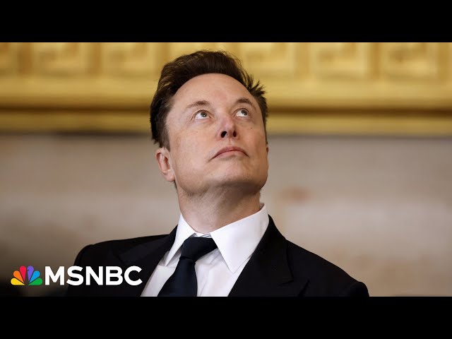 Trump officials made bogus claims about what Musk's DOGE team could do at Treasury, report says