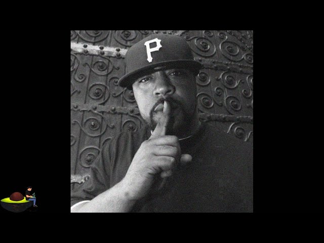 Sean Price Type Beat Hard Underground Boom Bap Type Beat "Metamorphic"