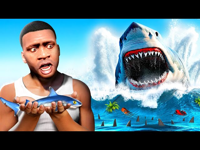 EVERY SHARK in GTA 5! (Find & Catch them)