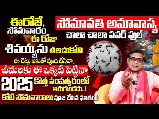 డిసెంబర్ 30 సోమావతి అమావాస్య Somvati Amavasya 2024 | Somavathi Amavasya Significance 2024