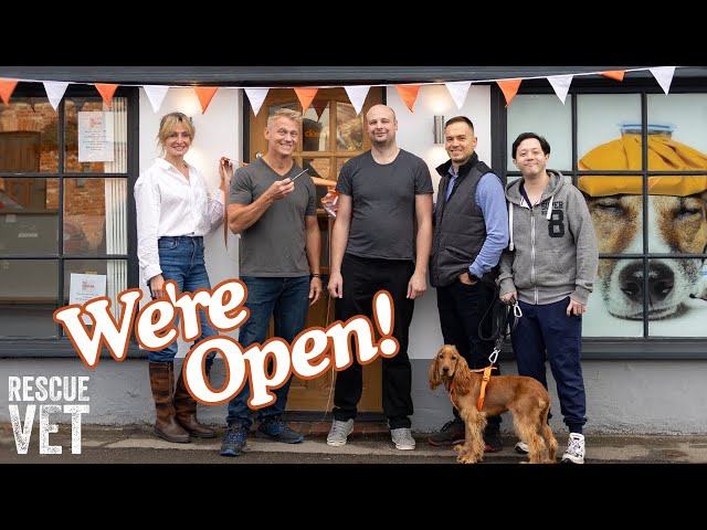 Huge transformation of Dr Scott's new vet practice: The Making of The Chobham Vet! | Rescue Vet