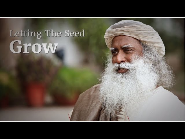 Letting The Seed Grow | Sadhguru