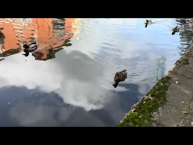 NOTTINGHAM ,Water in Landlocked Nottingham