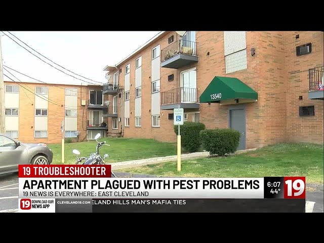 East Cleveland apartments plagued with problems after multiple inspections