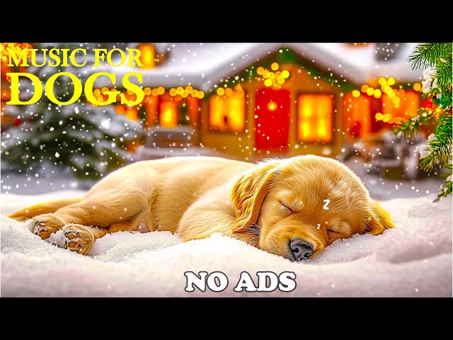 Top Christmas Music to Calm Dog Anxiety 🎅🎄The Ultimate Beautiful Chistmas Music 2025 for Dog