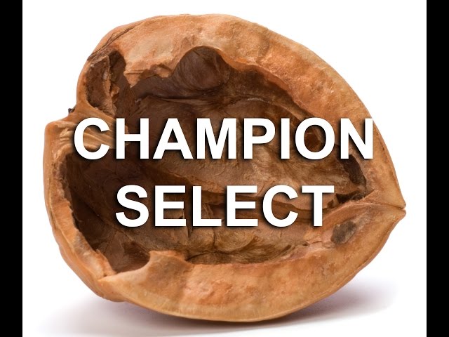 League of Legends: Champion Select in a Nutshell