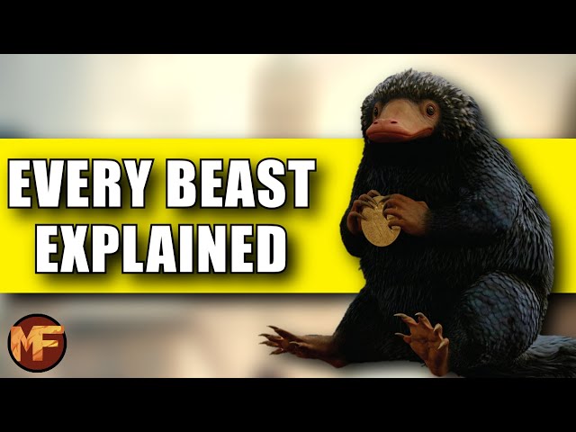 Every Beast We've Seen So Far in Fantastic Beasts 1/2 (45 Creatures Explained)