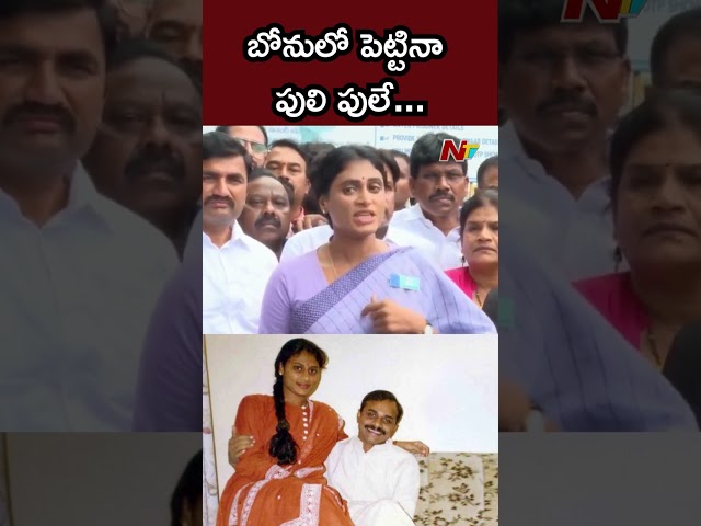 YSR బిడ్డను.. తగ్గేదేలే...! : YS Sharmila | Ntv