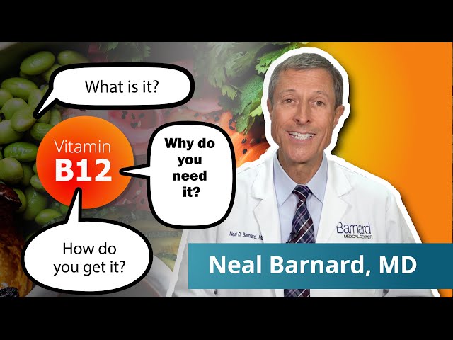 What You Need To Know About Vitamin B12 | Vegan Diets