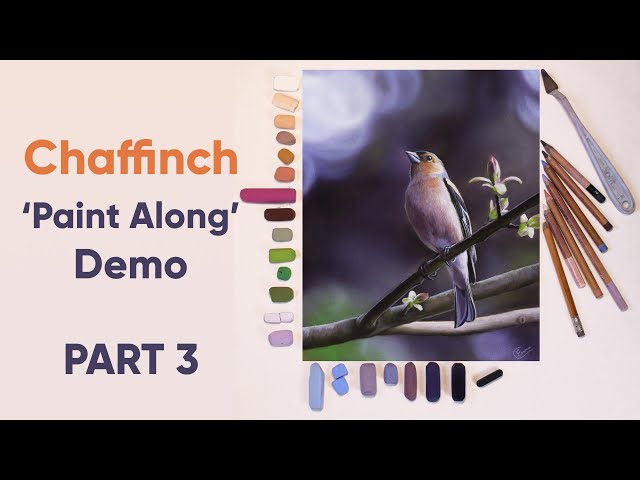 Chaffinch Paint Along REAL TIME Demo PART 3