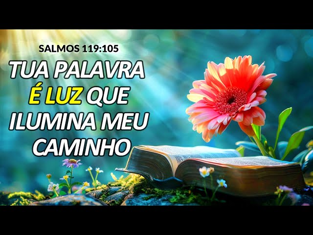 A Tua Palavra é Luz Para o Meu Caminho I Gilson Castilho