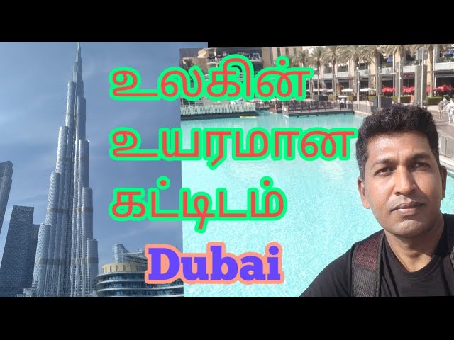 உலகின் உயரமான கட்டிடம் டுபாயில் உள்ள புர்ஜ் கலிபா #burjkhalifa #dubai #tamil #travel #vlog #dubaimal