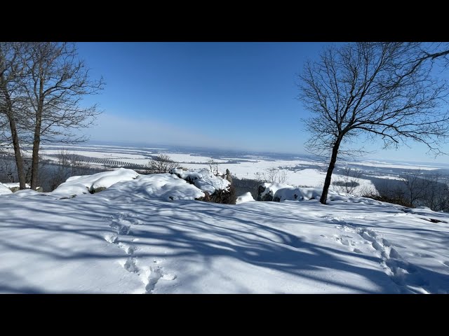 Join us on this Magical white path to a Snow-Covered Mountain