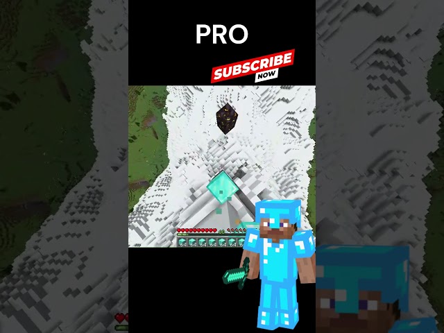 NOOB vs PRO clutch #noob #proplayer #minecraft #end