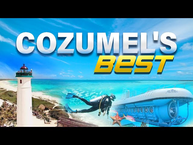 Cozumel's 5 MUST-DO Tours & Adventures for an UNFORGETTABLE Trip