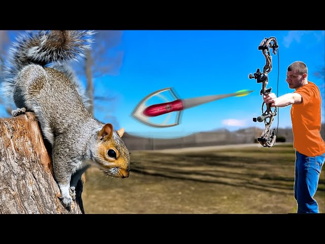 I Hunted Squirrels with a Bow & Arrow!