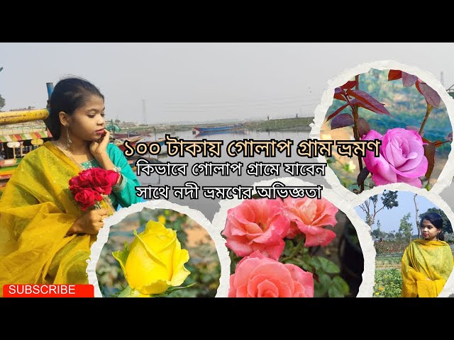 ১০০ টাকায় গোলাপ গ্রাম ভ্রমণ ( ১ জনের ) | my golap gram tour