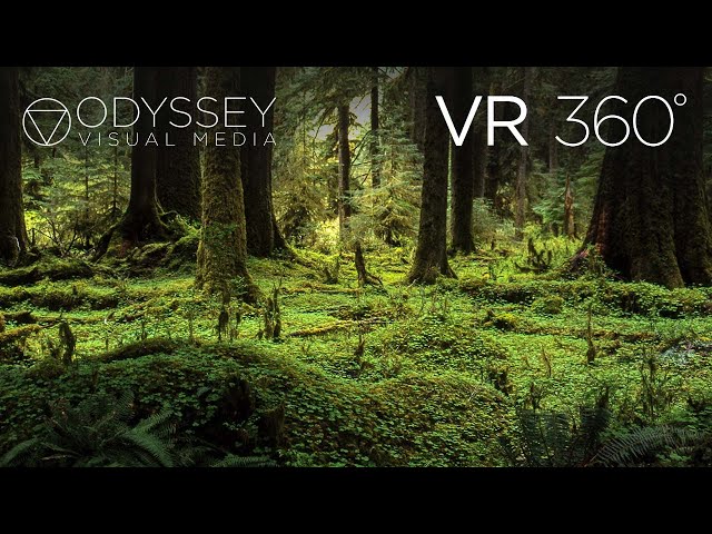 Olympic National Park Virtual Tour | VR 360° Travel Experience | Washington