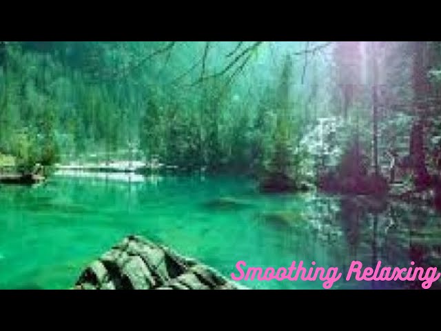 Relaxing Sleep Music • Deep Sleeping Music, Relaxing Music, Stress Relief, Meditation Music