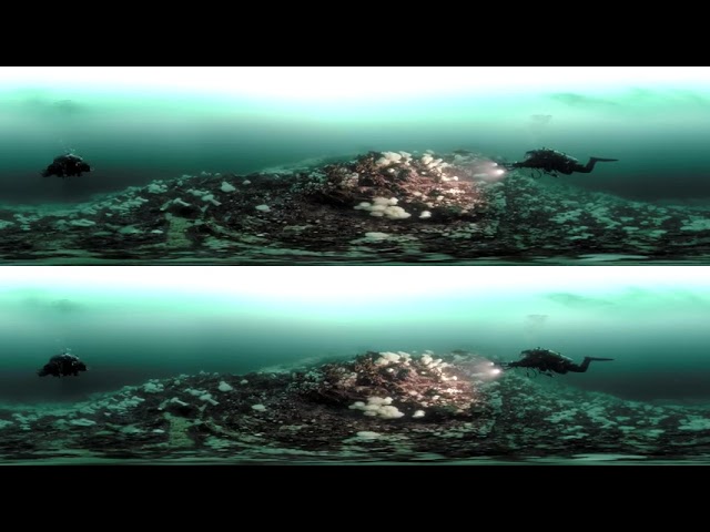 Dive with a Giant Pacific Octopus and Wolf Eel in 3D 360