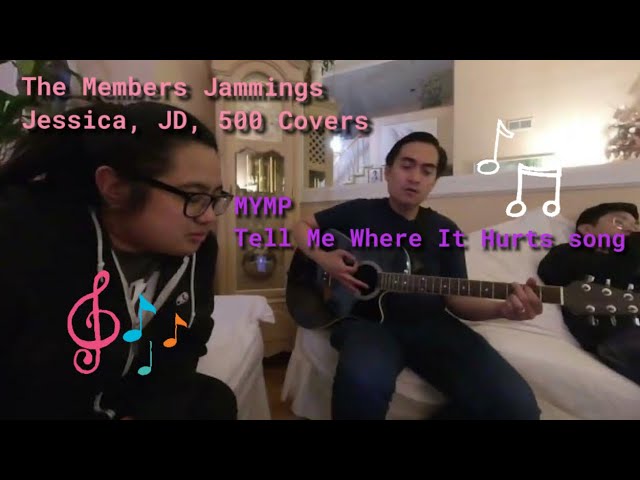 VR180 MYMP - Tell Me Where It Hurts song - The Members & 500 Covers Random Jammings