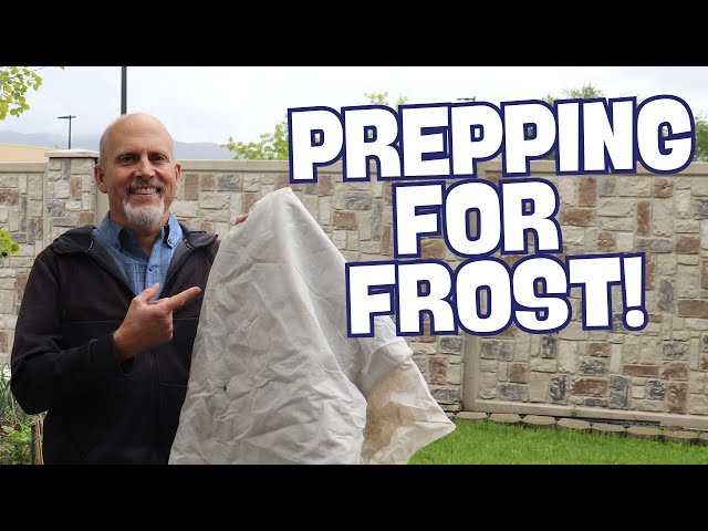 6 Tips to Prepare Your Garden for Your First Frost