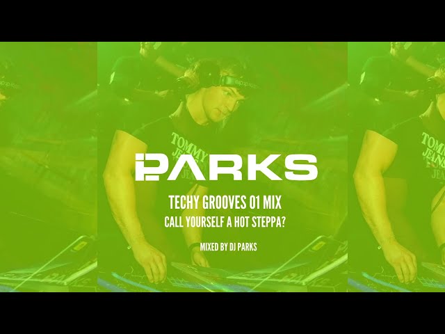 Techy Grooves 01 Mix - DJ PARKS