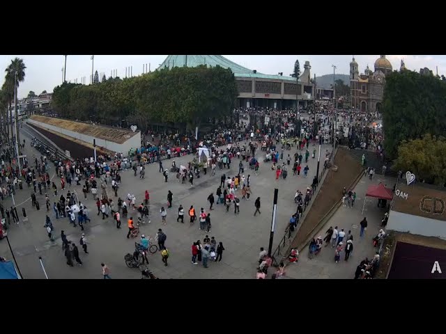 #Basilica | Procesiones en la basílica 😱 #envivo