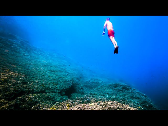 Best Freediving Spot for Beginners with Lots of Fish | "Hawaii Beach" in Pula