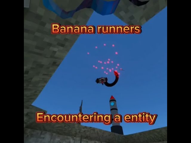 Encountering a entity in banana runners