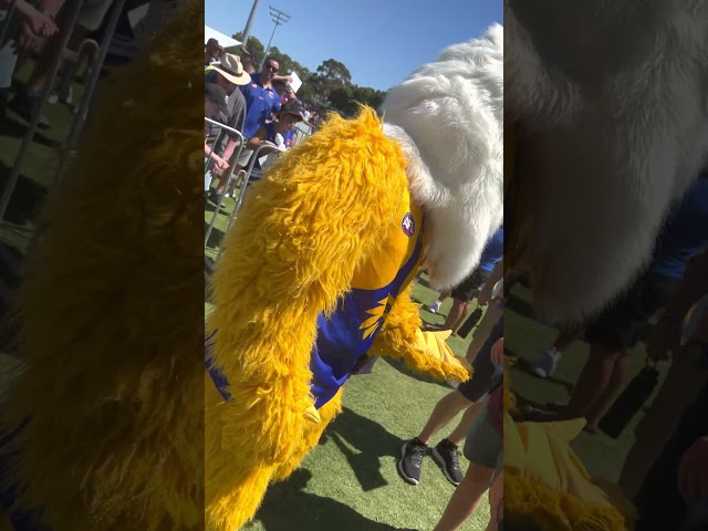 Met & Hugs with Rosie & Rick at WCE Fan Day 2023 🤗 💛💙🦅