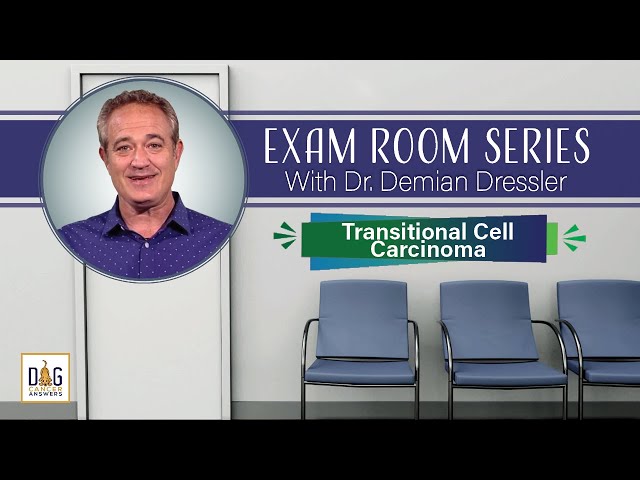 Exam Room Series: Transitional Cell Carcinoma │ Dr. Demian Dressler