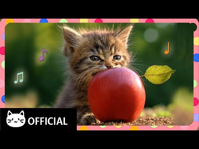 [Meow Song] Sweet Apple Juice Love | Dreamy Horizons: Escape to Calm 🎶