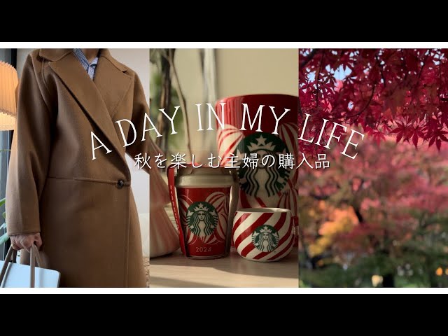 Tokyo Housewives Enjoying Autumn Purchases🍂Starbucks Christmas🎄Accessories/Kawaguchiko