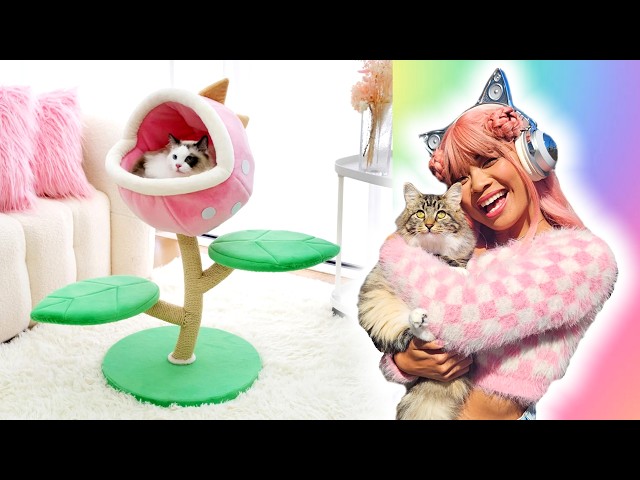 BUYING CUTE STUFF FOR MY KITTEN! with happyandpolly!